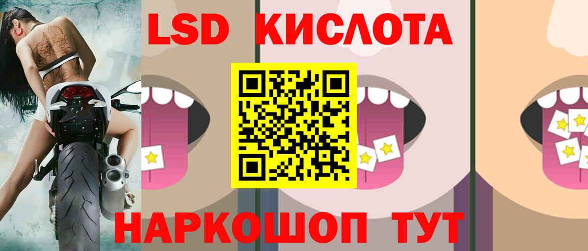 МЕФ Курск
