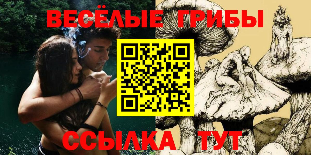 Псилоцибиновые грибы прущие грибы Курск