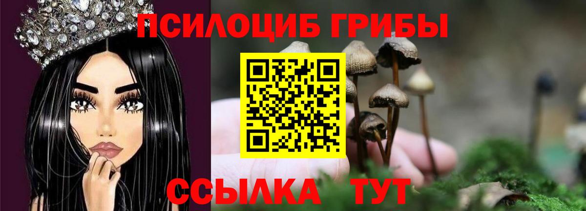 Галлюциногенные грибы Magic Shrooms  Вход с VPN  Галлюциногенные грибы мухоморы  Курск 